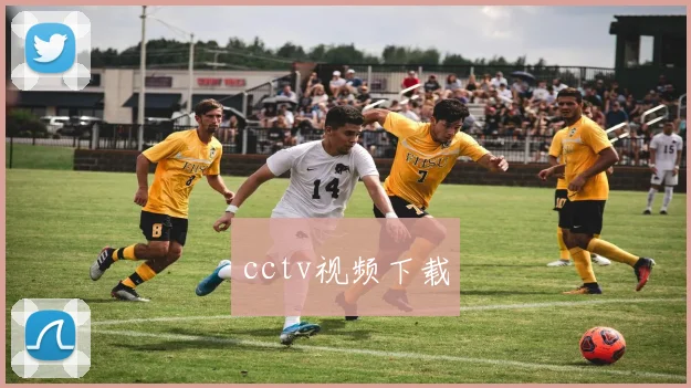 cctv视频下载