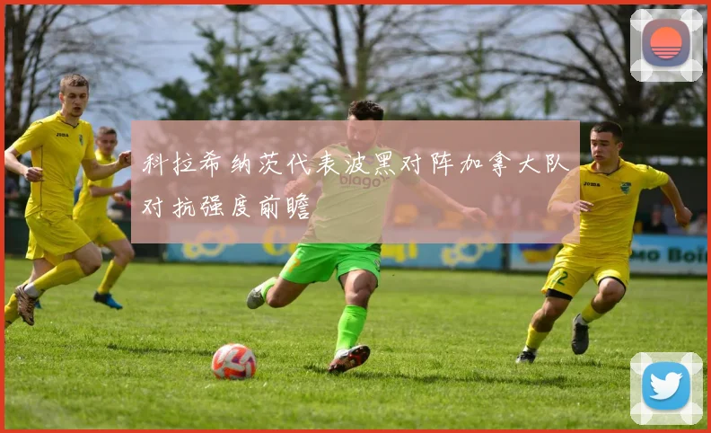 科拉希纳茨代表波黑对阵加拿大队对抗强度前瞻