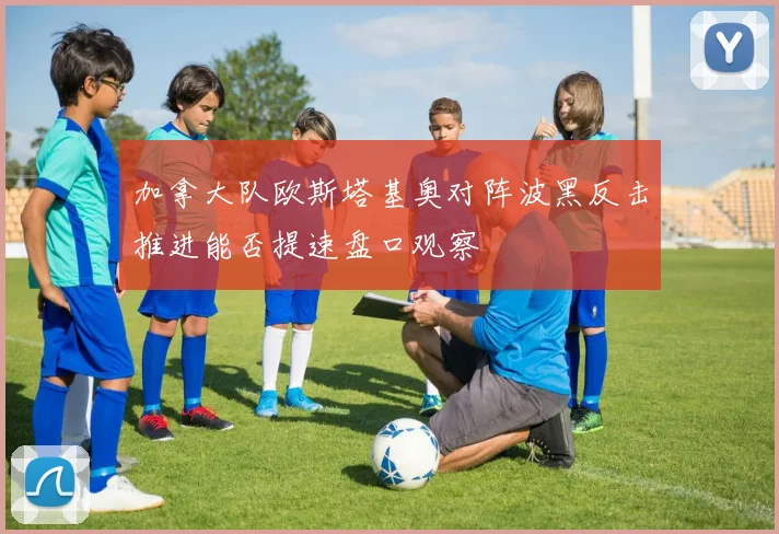 加拿大队欧斯塔基奥对阵波黑反击推进能否提速盘口观察