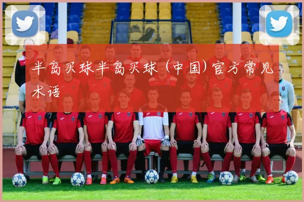 半岛买球半岛买球 (中国)官方常见术语
