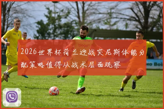 2026世界杯荷兰迎战突尼斯体能分配策略值得从战术层面观察