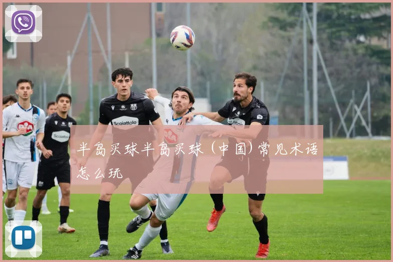 半岛买球半岛买球 (中国)常见术语怎么玩